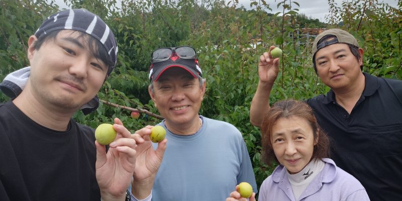 恵みの雨につながりが実る、梅収穫ワーケーション