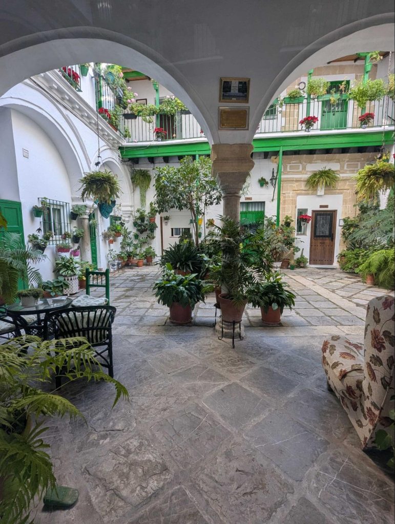 パティオがある住居が多くみられる、住民だけが楽しめる隠された美しさ